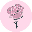Ссылка на категорию Доставка роз в Тюмени