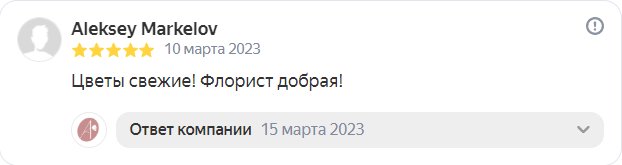Отзыв на Яндекс от 10-03-2023