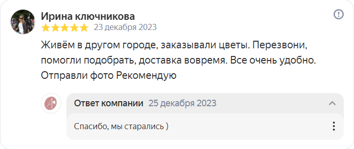 Отзыв на Яндекс от 23-12-2023