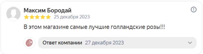 Отзыв на Яндекс от 25-12-2023