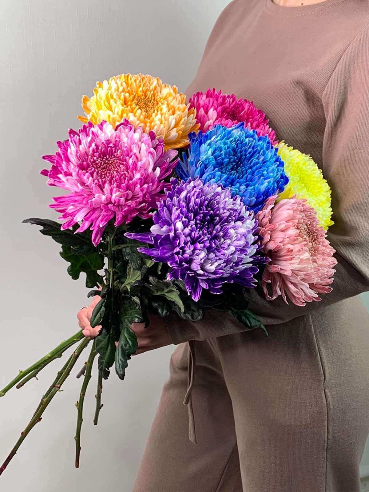 Цветы в ассортименте: Хризантема «Антонов крашеный»