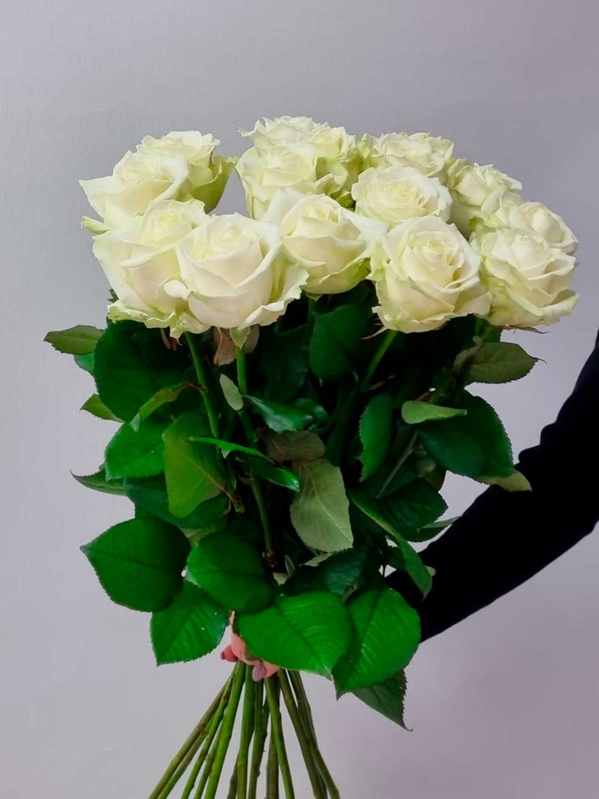 Цветы в ассортименте Роза Россия «Avalanche»