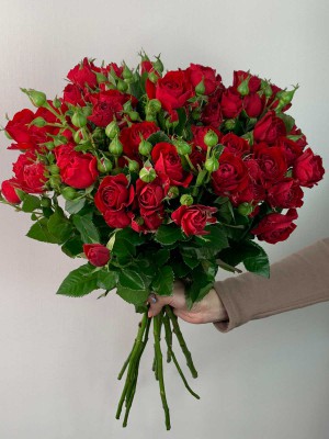 Изображение Цветы в ассортименте: Роза кустовая пионовидная «Red Babls»