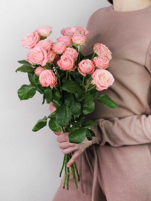 Цветы в ассортименте: Роза кустовая пионовидная «Madam Bombastic»