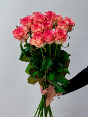 Изображение Цветы поштучно в ассортименте: Роза Россия «Jumilia»
