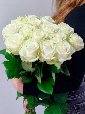 Цветы в ассортименте Роза Россия «Avalanche»