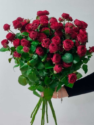 Изображение Цветы в ассортименте Роза кустовая Россия «Марун»