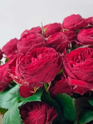 Цветы в ассортименте Роза кустовая Россия «Марун»
