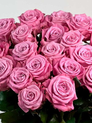 Цветы «Роза Россия «Maritim»» с доставкой