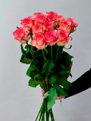 Букет «Розы Джумилия 15 шт.»