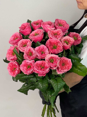 Цветы поштучно Роза Россия «Regents Park»