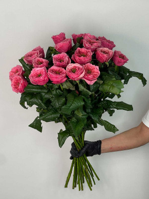 Цветы поштучно Роза Россия «Regents Park»