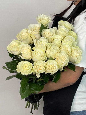 Цветы поштучно Роза Эквадор «Mondial»