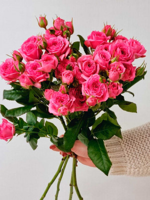 Цветы поштучно: Роза кустовая «Pink Dimension»