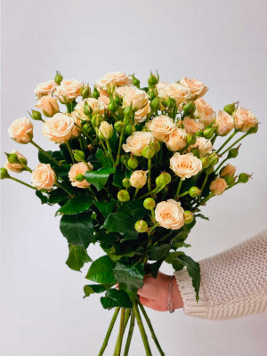 Цветы поштучно: Роза кустовая «Tanja»