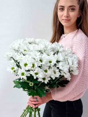 Цветы поштучно: Хризантема кустовая белая «Бакарди»