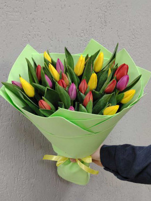 Изображение 27 тюльпанов микс в цветном оформлении
