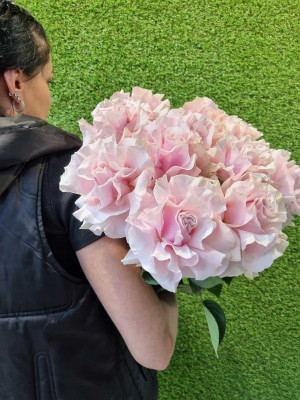 Изображение Pink Mondiale