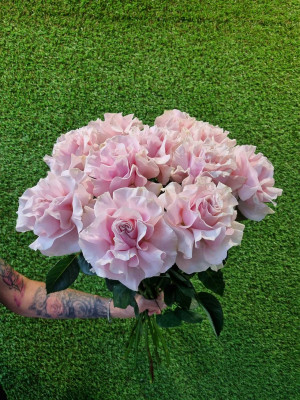 Цветы поштучно «Pink Mondiale»