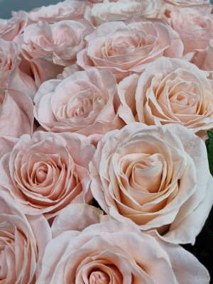 Букет «Робкий поцелуй»