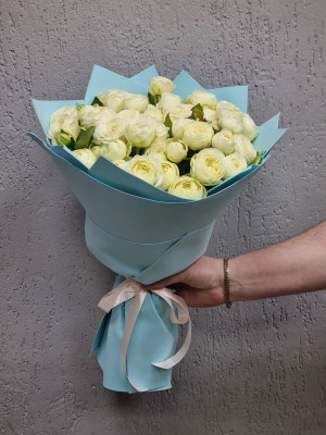 Изображение Хатико