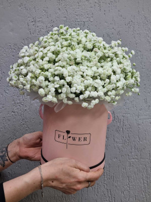 Изображение Самой нежной