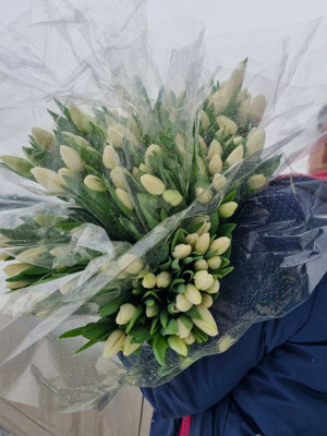 Изображение Тюльпаны белые 25 шт. в упаковке