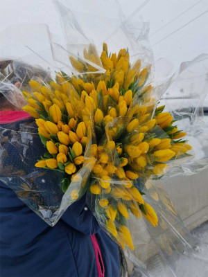 Букет «Тюльпаны желтые 25 шт. в упаковке»