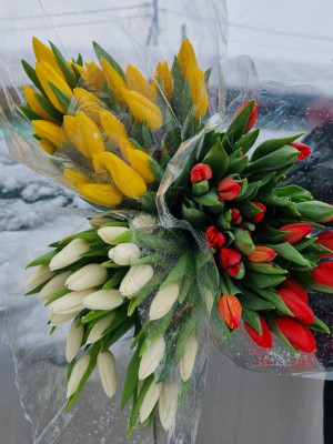 Изображение Тюльпаны МИКС 25 шт. в упаковке