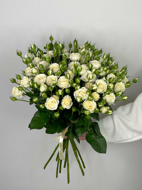 Цветы в ассортименте: Роза кустовая белая «Беларусь»