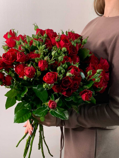 Цветы в ассортименте: Роза кустовая пионовидная «Red Babls»