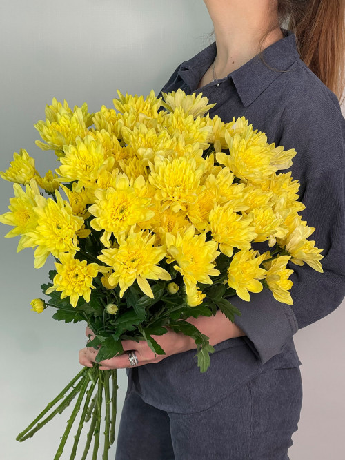 Цветы поштучно «Хризантема кустовая жёлтая»