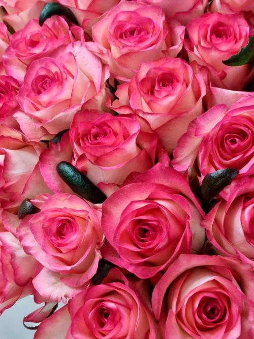 Букет «Сама элегантность»  (101 роза)