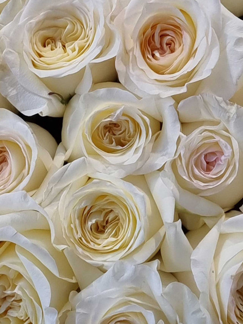 Букет «Вместо тысячи слов»