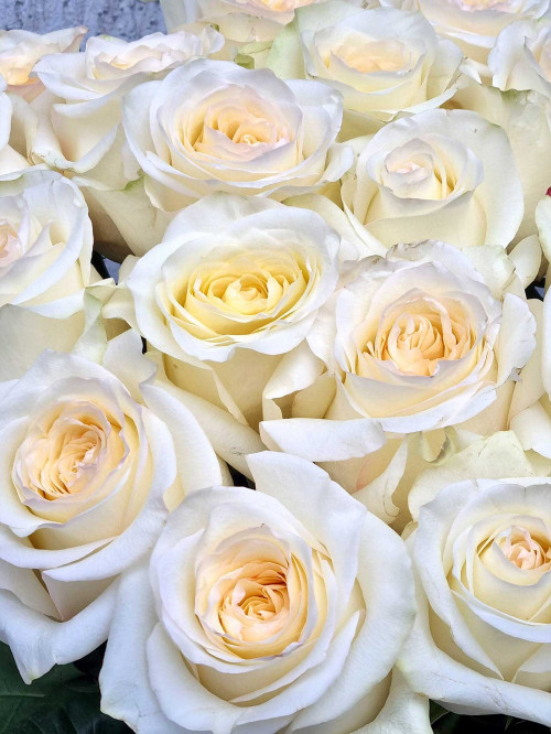 Букет «Крем-брюле»