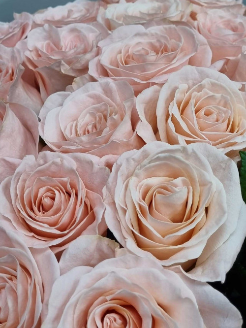 Букет «Робкий поцелуй»