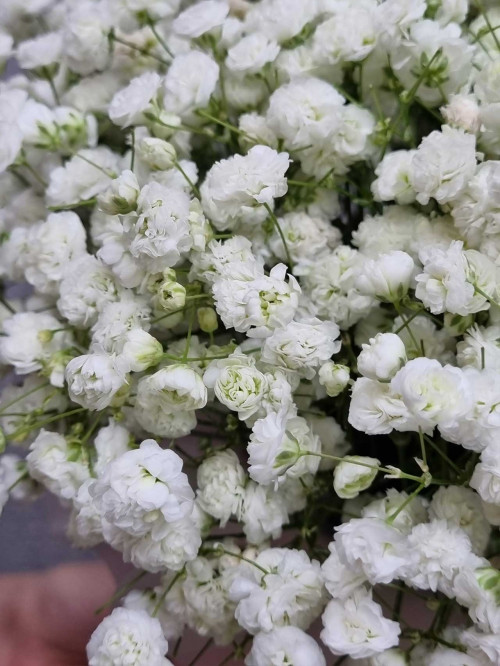 Букет «Самой нежной»