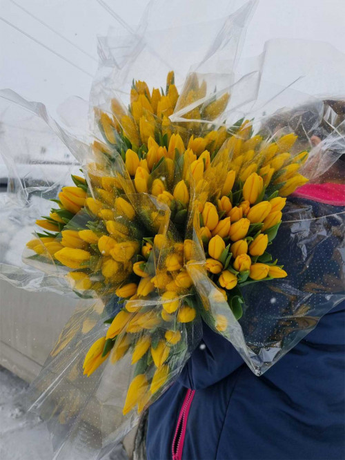 Букет «Тюльпаны желтые 25 шт. в упаковке»