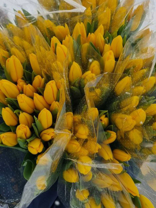 Букет «Тюльпаны желтые 25 шт. в упаковке»