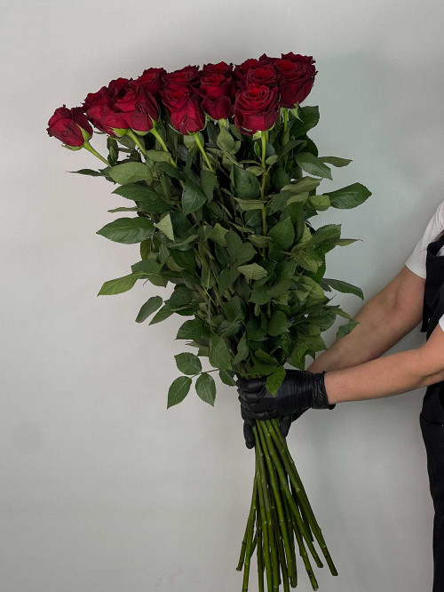 Цветы поштучно Роза Эквадор «Explorer» (120 см)