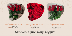 Букет роз «Red Naomi» (60-80 см) 25 штук от 2500 руб