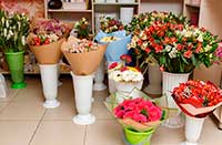 Магазин «Аллея цветов на Елизарова 8»